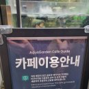 아쿠아가든카페 이미지