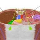부여장수한의원 이미지