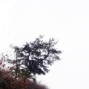 대전둘레산길(2구간) 이미지