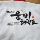 경희대 웅비 태권도 이미지