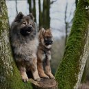 소담동물병원 이미지