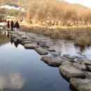 정양늪생명길 이미지