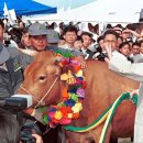 정주영 탄생 100주년 기획 '이봐, 해봤어? '(12) 이미지