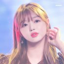 숲의 아이 이미지