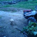 우승농장 이미지