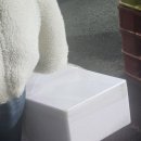 영덕대게시청점 | 부산 시청 알이 꽉 찬 대게 포장 후기 : 영덕대게 시청직판장