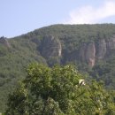 ◆03월 20일 오산 등주리봉 ◆일요일 산수유축제 이미지