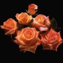 은 세상 이미지