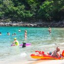 파라다이스 이미지