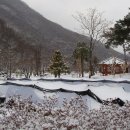 제일농장 - 수원시 장안구 수성로275번길 8 | 제일농장