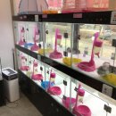 개청순한고양이 이미지