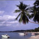 타임9000 이미지