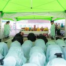 황매산 철쭉제 이미지