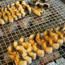 동곡로L | 광주 광산구 맛집 장어 가성비 좋은 민물장어 유일장어