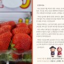 보람농장 이미지