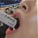 시니어덴트 | 구강유산균추천 효과 및 부작용