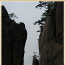 초특가로 중국의 名山 황산과 삼청산을 갑니다(569,000원)-korkim- 이미지