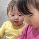 5세·2세 아이 구강관리 어린이 자일리톨 캔디, 비비드몽타주 자일리톨 덴티큐브 후기