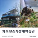 김해 화포천습지 생태학습관 | 아이들과 가볼만한곳 철새탐방 독수리먹이체험이 있는 김해 화포천습지생태학습관