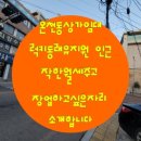 럭키동래유치원 이미지