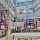 올포유 광주아울렛 | ​[동백 블루키] 1월 한정 폐점정리! 라코스테부터 꼼데가르송까지 역대급 할인(폴로/JEEP/뉴발/아디다스...