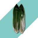 케이씨무역 이미지