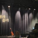 짙은 콘서트 후기:나무의 목소리로 바다를 꿈꾸다