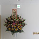 넝쿨채