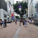명동약국 | 더 플라자 호텔 근처 갈 만한 곳 : 명동 맛집 명동교자 / 12층 다이소 명동역점 / 남대문 왕솔약국