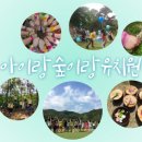 숲이랑아이랑유치원 이미지