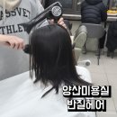 반질 | 양산미용실 커트전문 반질헤어 내돈내산