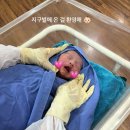미즈산부인과의원 | 오창 미즈산부인과 40주 0일 유도 분만 실패 .. 제왕절개 1일차 후기 ⭐️