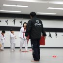 상록태권도장 이미지