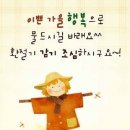 🍁우리 인생의 마지막 풍경 / 이미지