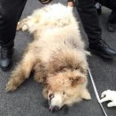 송치농장 이미지