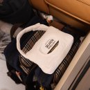 신생아용품, 소품 NEW | 앙팡케어 물티슈 파우치가방 후기 | 쌍둥이아빠의 찐 솔직 리뷰 (feat. 신생아용품 장단점)