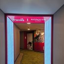 트윈스 | 화담숲 단풍 시즌 곤지암리조트 트윈스 테마룸 디럭스 숙박 후기