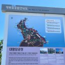 울산 여행 일박 이일 코스 추천 대왕암공원 출렁다리...국가 정원 십리대숲 방문 후기 관광 꿀팁 Part. 1