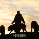 돈다산농장 이미지