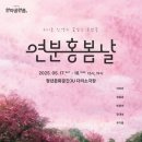 봄날같은 인생 K스피릿