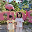 JW(제이더블유) | [아이와 푸꾸옥 여행 5일차 ] JW marriot 제이더블유 메리어트 푸꾸옥 빈펄 사파리 프리미엄 VIP 투어...