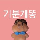 11620-전21-143-8 | 스트레이키즈가 초대장 보낸 스테이 생일 카페 별,빛 방문 후기! (성수 성수율)