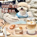 천변1길 | 정읍 애견동반 카페 추천 디저트 맛집 카페 초산 내돈내산 후기