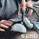 수원-0062 이미지