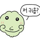 파충류샵 스마일게코 이미지