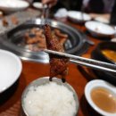 쌍용자동차청주서비스프라자 | 청주 비하동맛집 모임 하기 좋은 산청꿀갈비 돼지갈비 솔직 후기