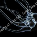 디아더짐 이미지