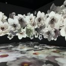 멍Mother 이미지