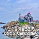 해동병원 | 부산 기장 일출 명소 오션뷰 사찰 해동용궁사 &amp; 노을 맛집 죽성 성당 드림세트장