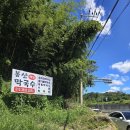 봉산메밀막국수 이미지
